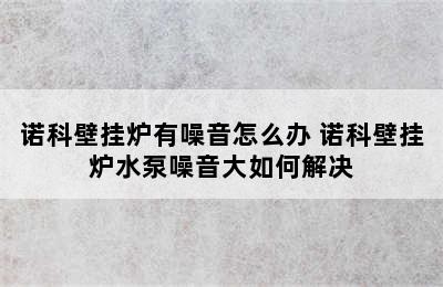 诺科壁挂炉有噪音怎么办 诺科壁挂炉水泵噪音大如何解决